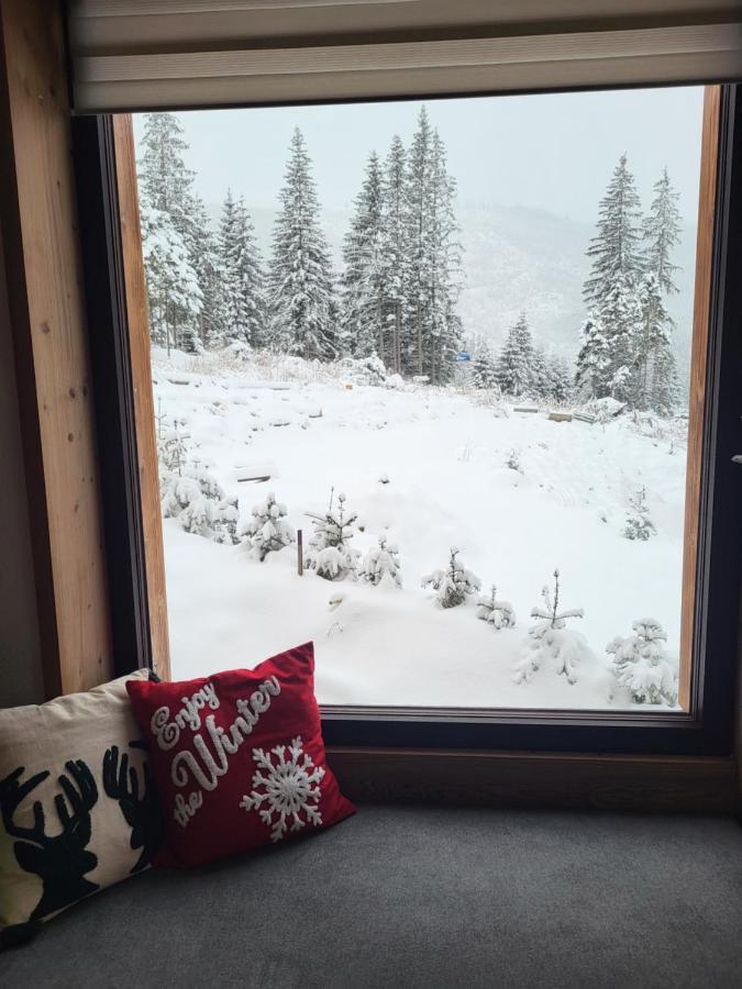 Hillview Jasna Chalet Деменівська Долина Екстер'єр фото